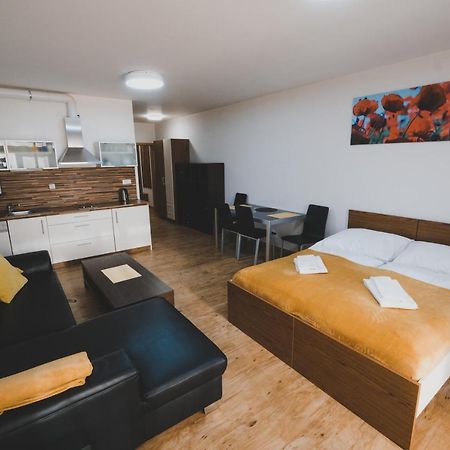 ליפנו נאד וויטאבו Apartman Max Lipno מראה חיצוני תמונה