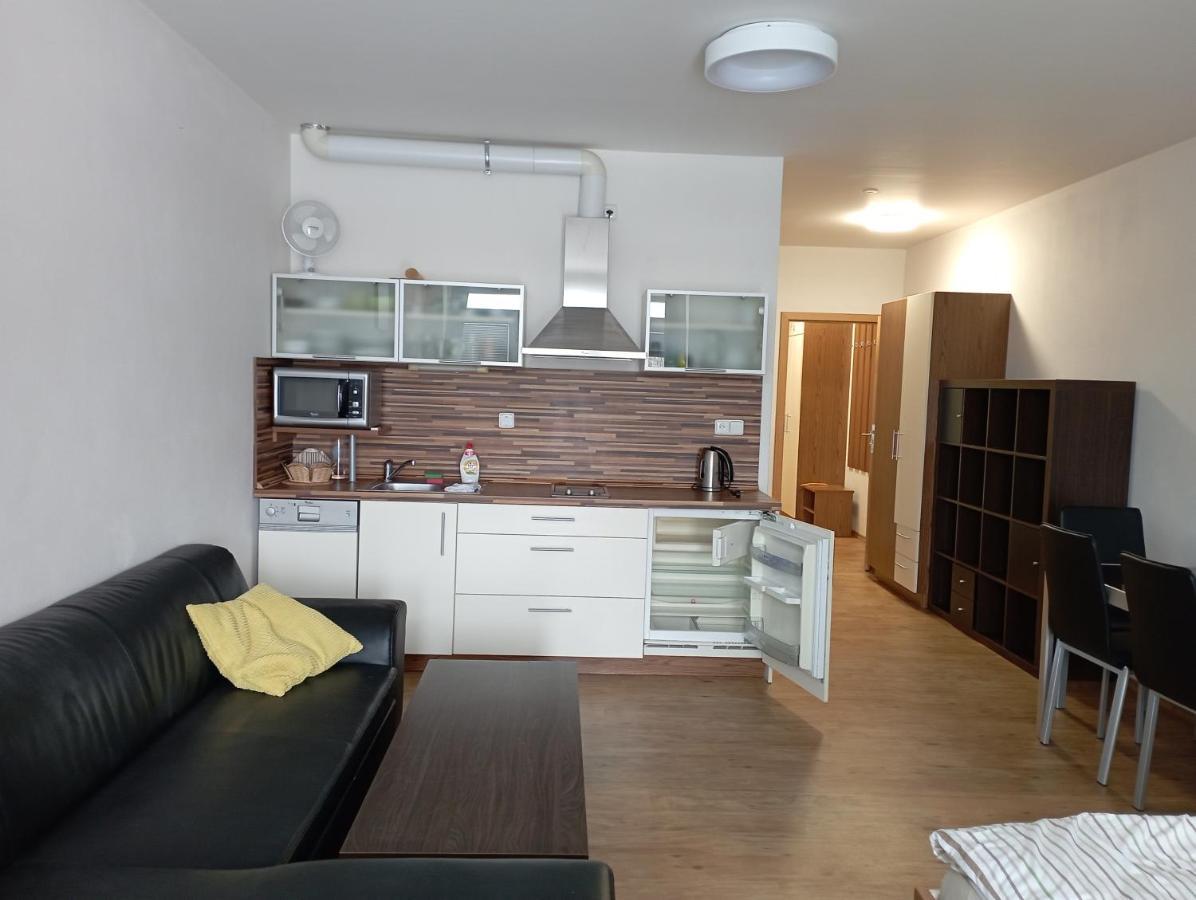 ליפנו נאד וויטאבו Apartman Max Lipno מראה חיצוני תמונה