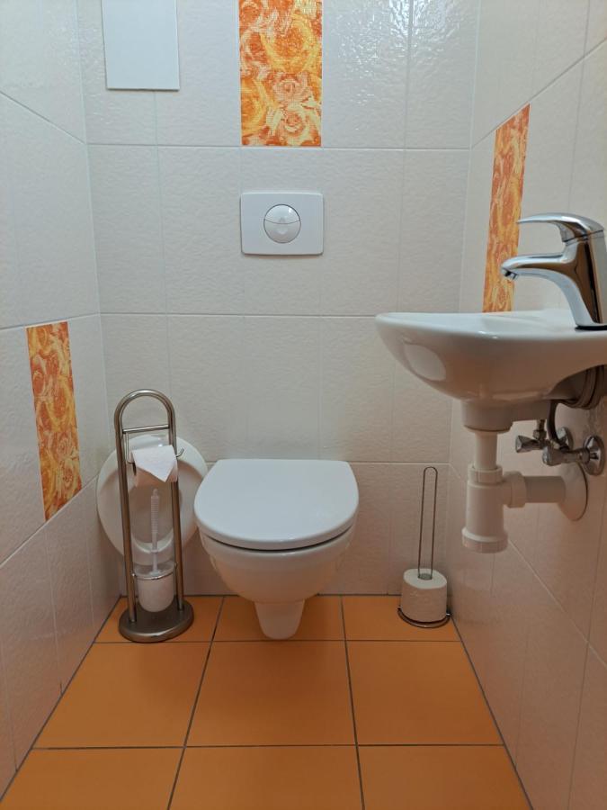 ליפנו נאד וויטאבו Apartman Max Lipno מראה חיצוני תמונה