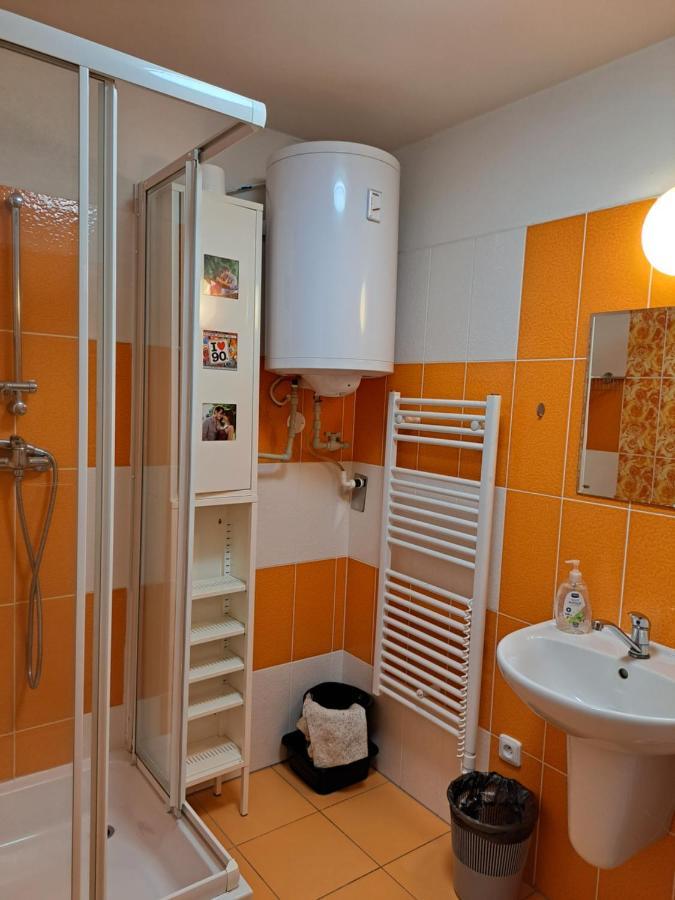 ליפנו נאד וויטאבו Apartman Max Lipno מראה חיצוני תמונה