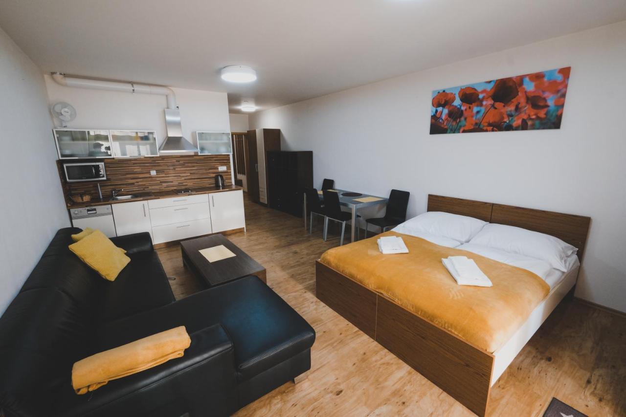 ליפנו נאד וויטאבו Apartman Max Lipno מראה חיצוני תמונה